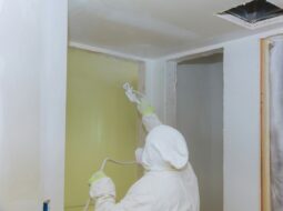 Mold Remediation Expert