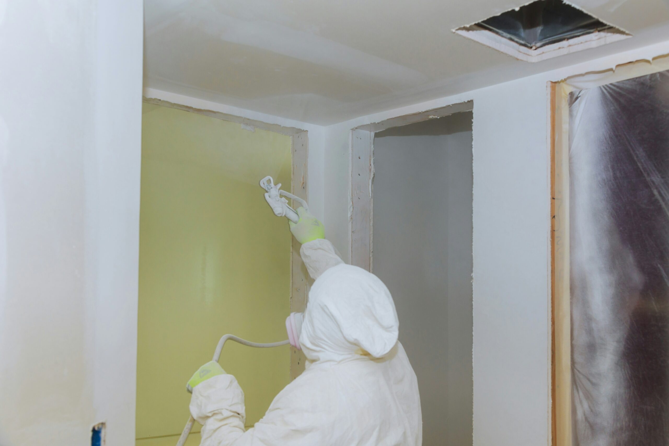 Mold Remediation Expert