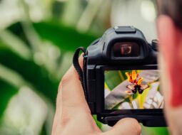 from-first-click-to-confident-creator-a-beginners-guide-to-learning-photography-the-right-way