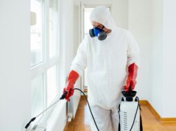 Craig Spiesman:Mold Removal Experts
