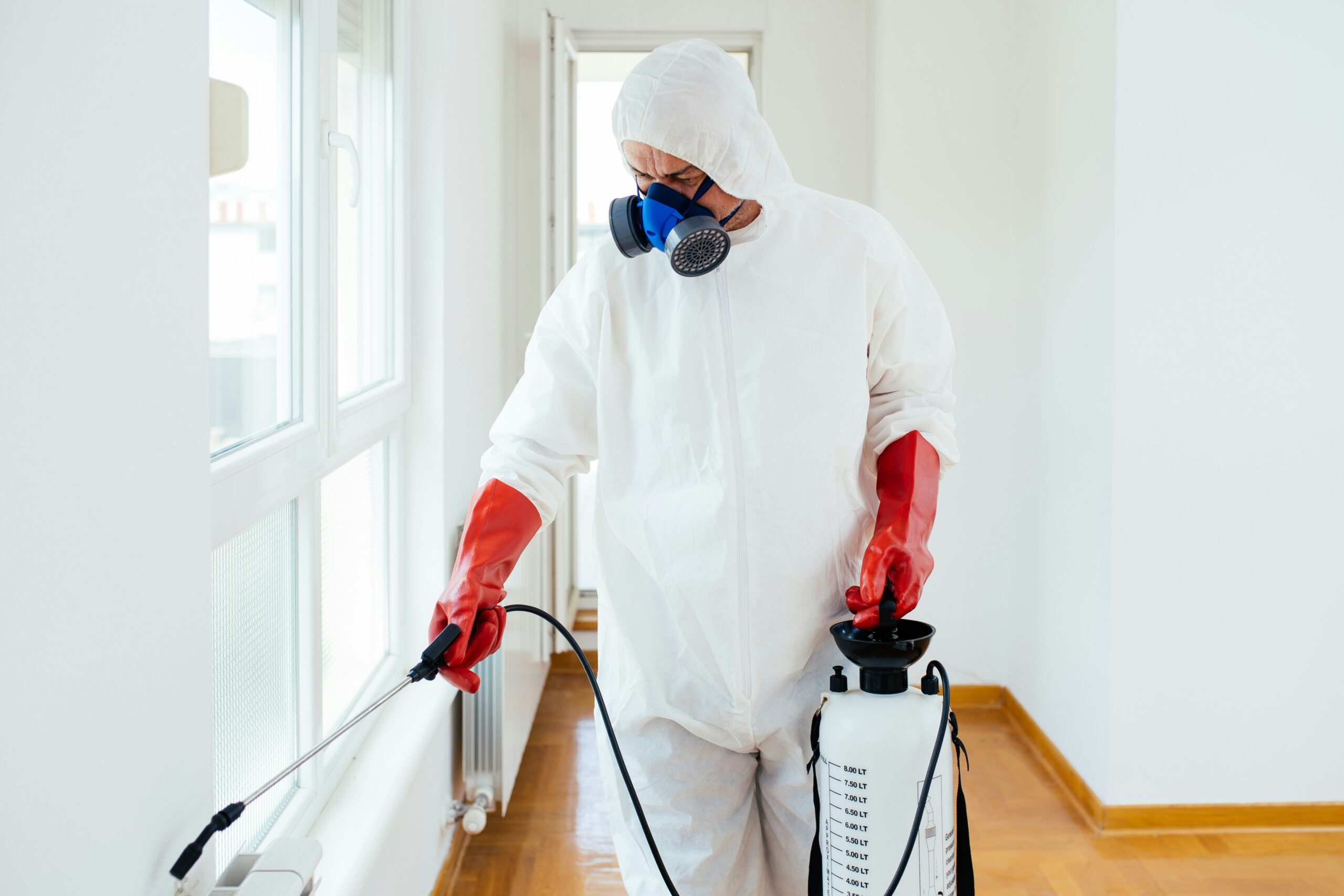 Craig Spiesman:Mold Removal Experts