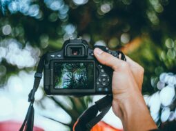 photography tips for beginners