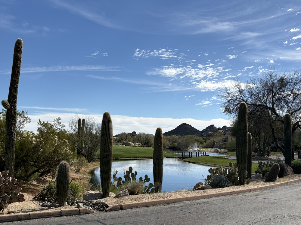 Craig Spiesman photo featuring tall desert cacti around a blue lake under clear sky