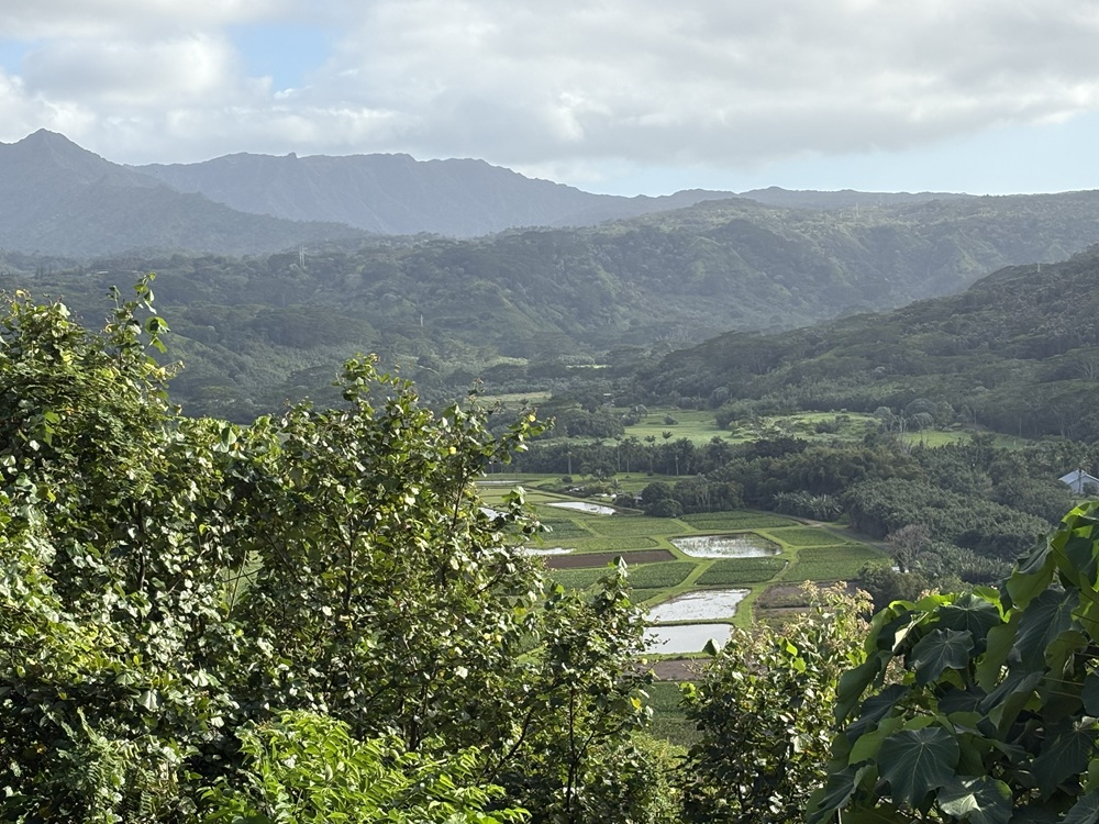 Craig Spiesman photo featuring a broad green valley surrounded by forested mountains